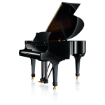 Steinway & Sons S-155